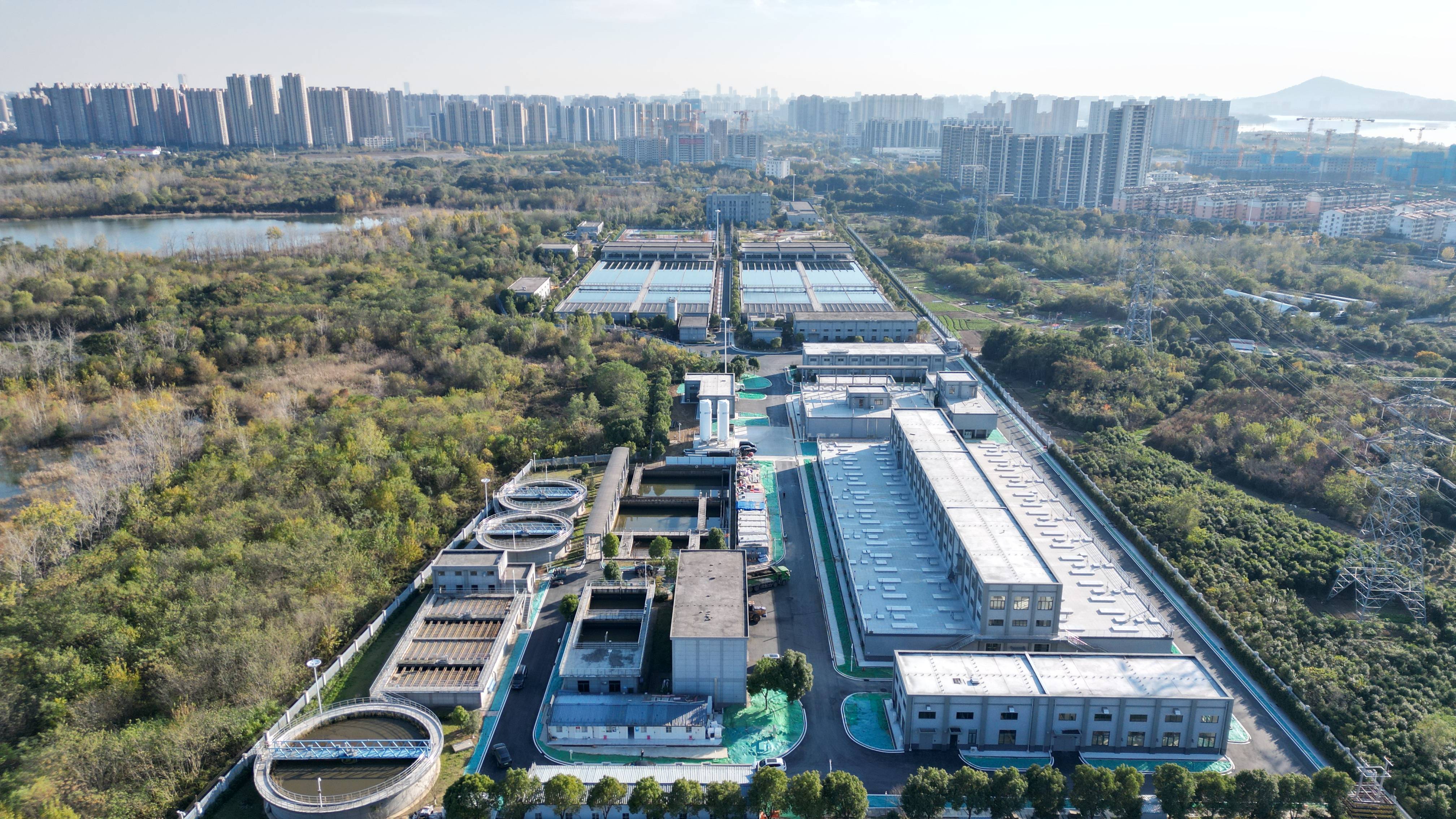 烟台市合肥专业企业价值增长(合肥市重点企业产业目录)