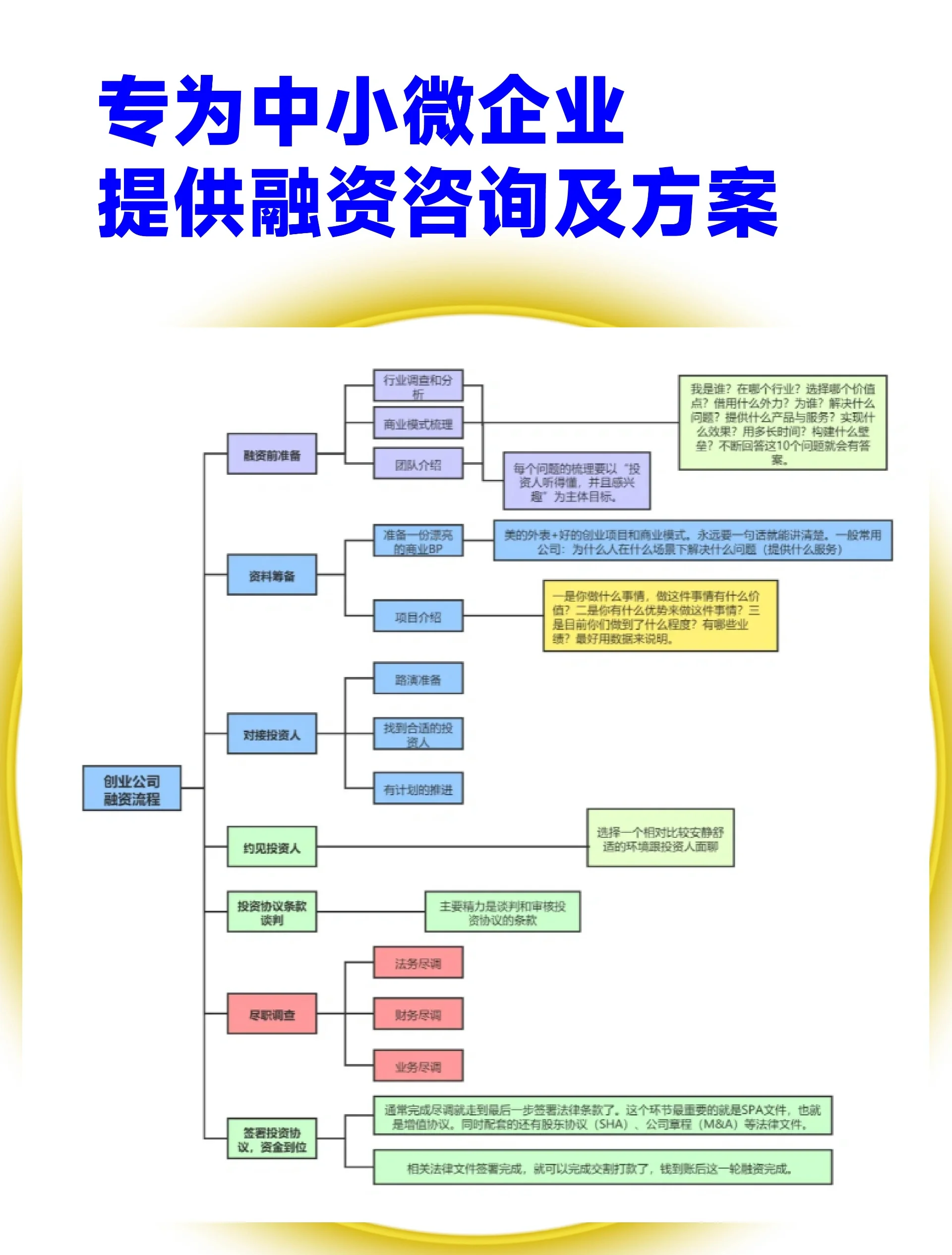 烟台市宠物企业资金管理(宠物管理机构叫什么)