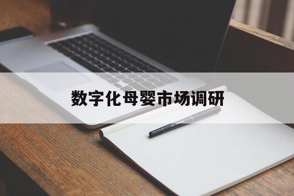 烟台市数字化母婴市场调研(数字化母婴市场调研报告)